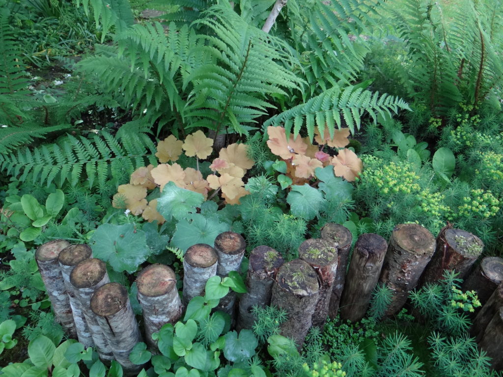 Jardin du 41QS