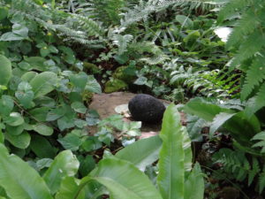 Jardin du 41QS