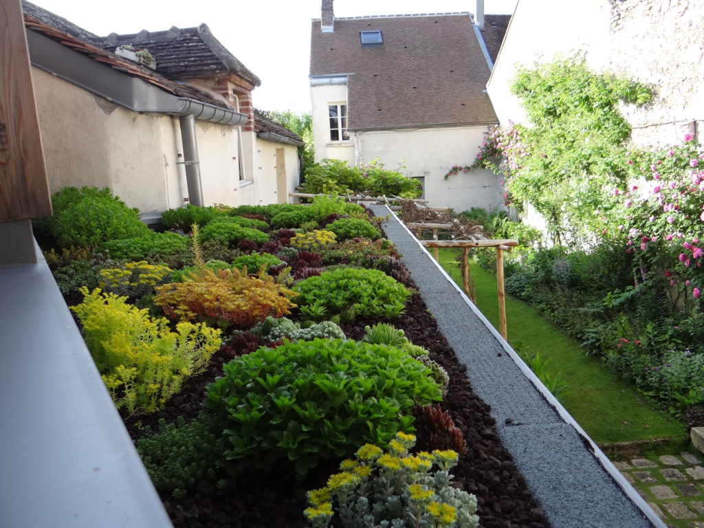 Jardin du 41QS