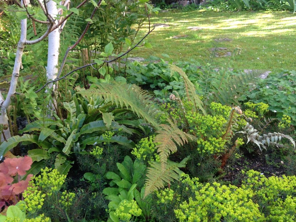 Jardin du 41QS