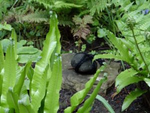 Jardin du 41QS