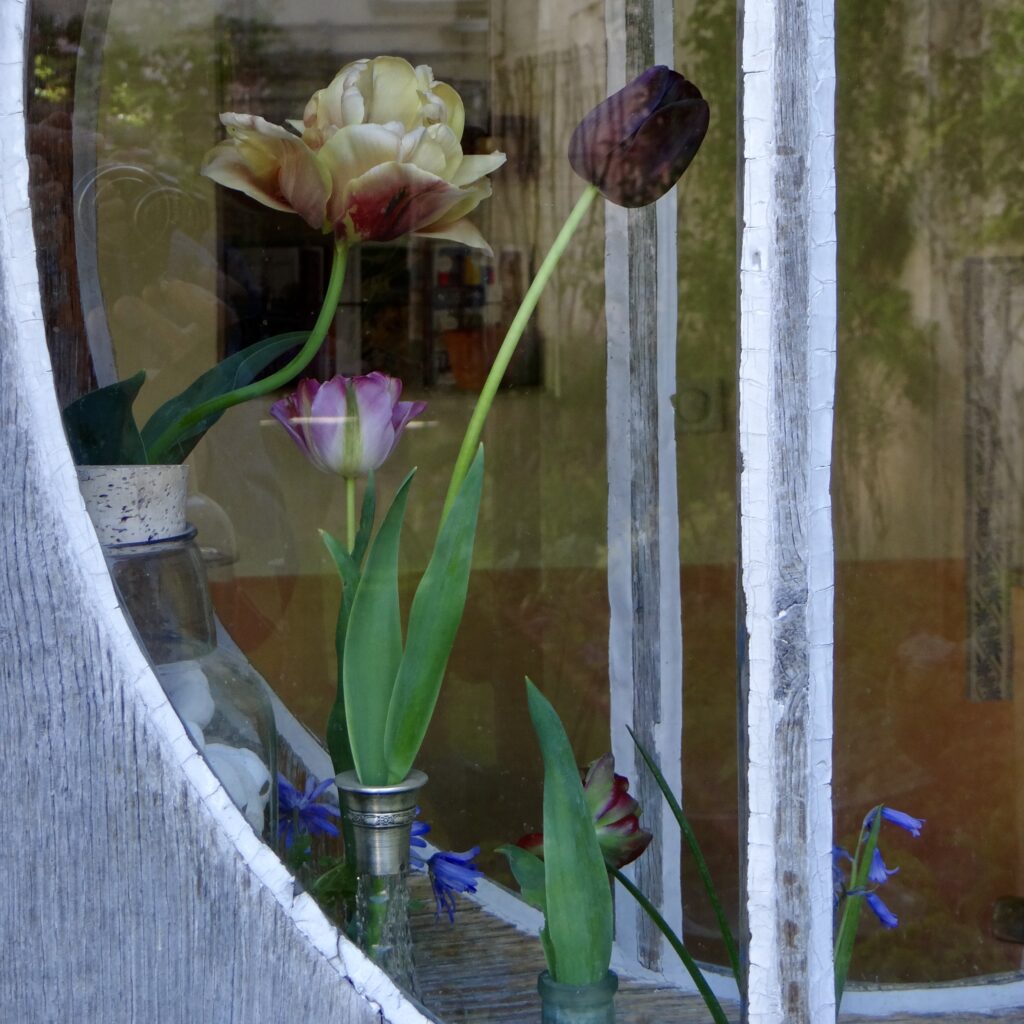 Bouquet de tulipes derrière la fenêtre ronde