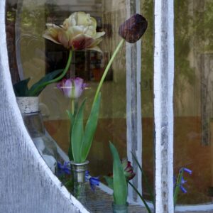 Bouquet de tulipes derrière la fenêtre ronde