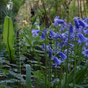 Le jardin du 41 Quai de Seine