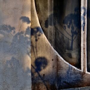 Ombres portées sur la fenêtre ronde