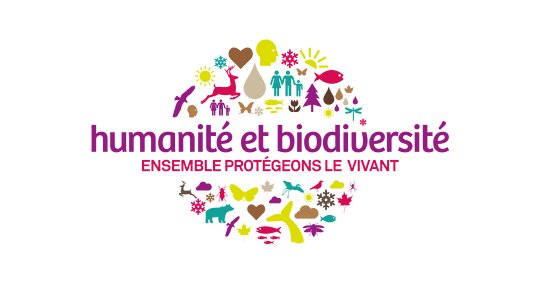 LOGO H&B vectoriel-01