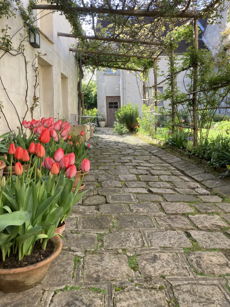 Le jardin du 41 Quai de Seine