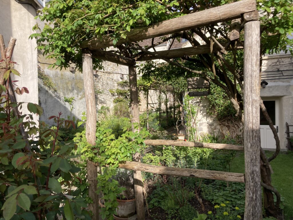 Jardin du 41QS