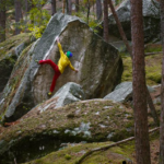 Escalade en forêt de Fontainebleau