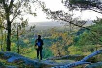Forêt Fontainebleau